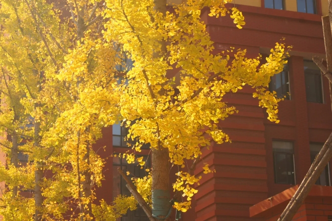005.png 005.png